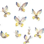 Как нарисовать бабочку с цветом: масте р-класс для начинающих