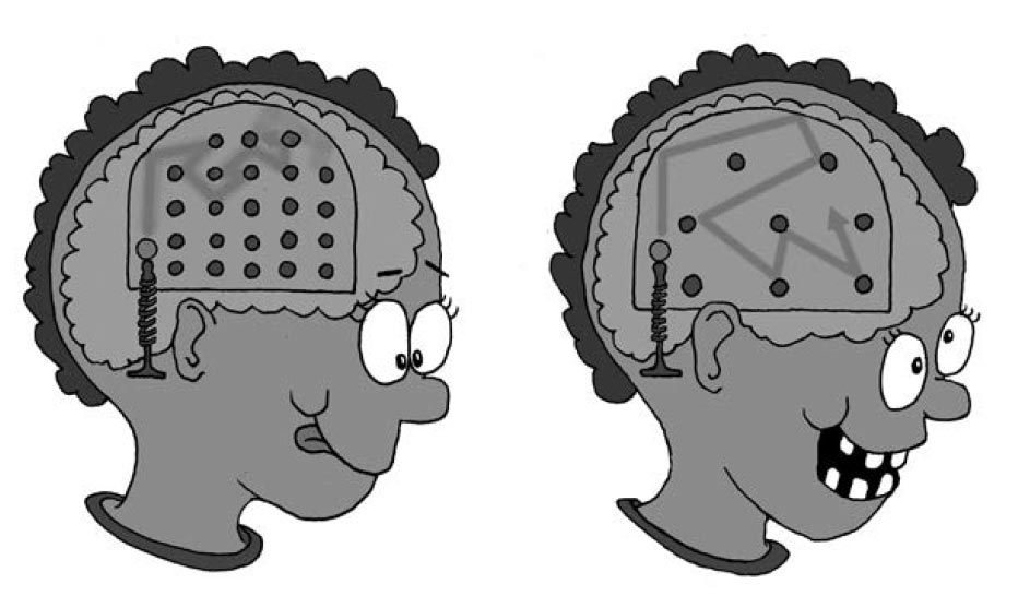 Перед вами две пинбол-версии вашего мозга 