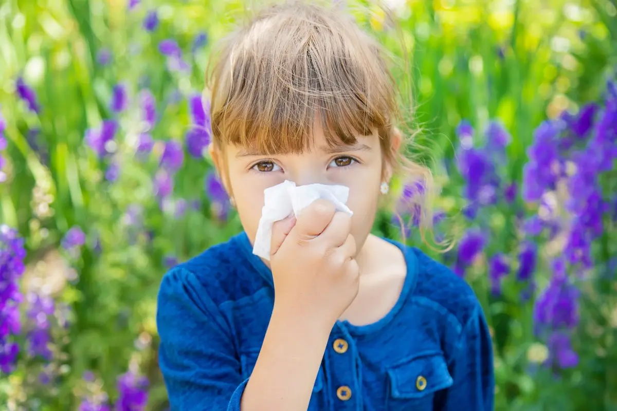 Весенняя аллергия у ребенка : правила поведения при поллинозе 