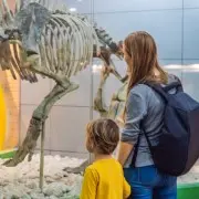 Музеи и дети: как пойти на выставку с детьми