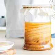 Современный чайный гриб Как ухаживать за чайным грибом