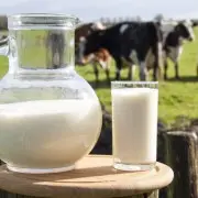 Пить или не пить молоко ? Лактазная недостаточность, остеопороз и прочие напасти