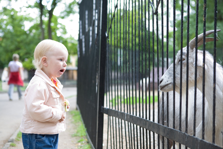 Поход в зоопарк с малышом 