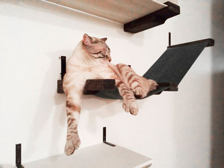 Домик для кошек : подвесная кошачья мебель (фото)