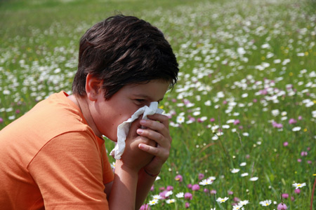 Весенняя аллергия у ребенка : правила поведения при поллинозе 