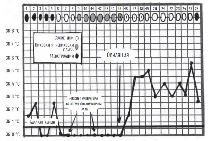 как по графику цикла выявить проблемы с щитовидкой 