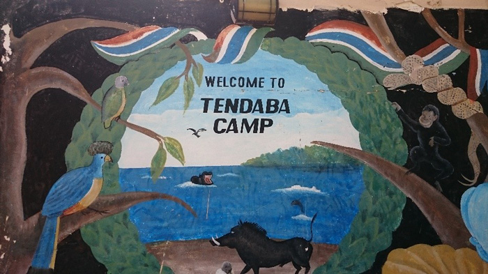 Наблюдение за птицами в лагере Тендабе