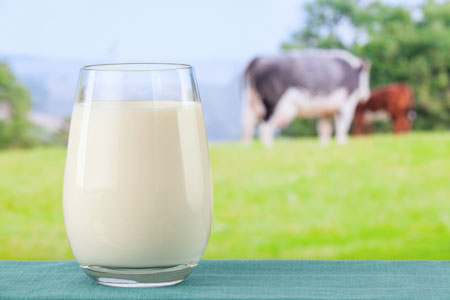 Качество молока < pran> Компания сотрудничает с одним из ведущих мировых производителей оборудования для управления всеми этапами производства, от сырого молока до конечного продукта, используя свои собственные методы и инструменты.